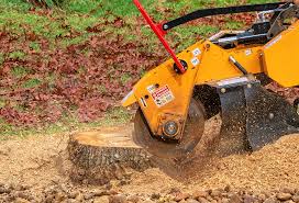 Best Tree Trimming and Pruning  in Tn Lakes, WI
