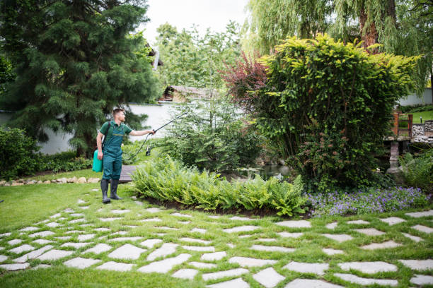 Best Tree Mulching  in Tn Lakes, WI
