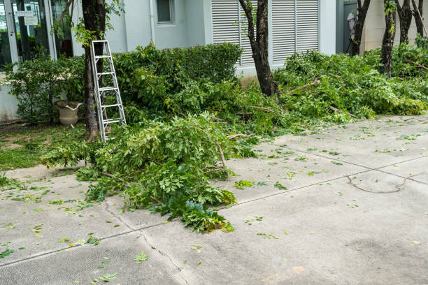 Best Tree Risk Assessment  in Tn Lakes, WI