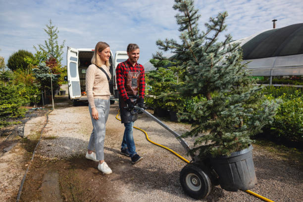 Best Lawn Disease Treatment  in Tn Lakes, WI